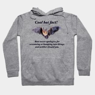 Cool Bat Fact! Hoodie